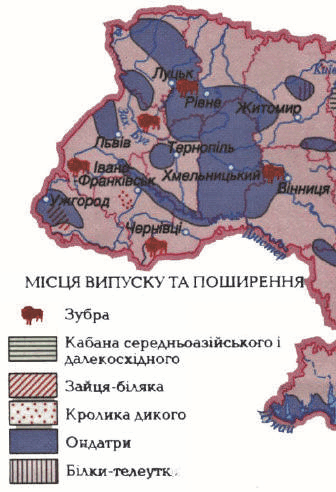 09002ezx-e040-336x492.png