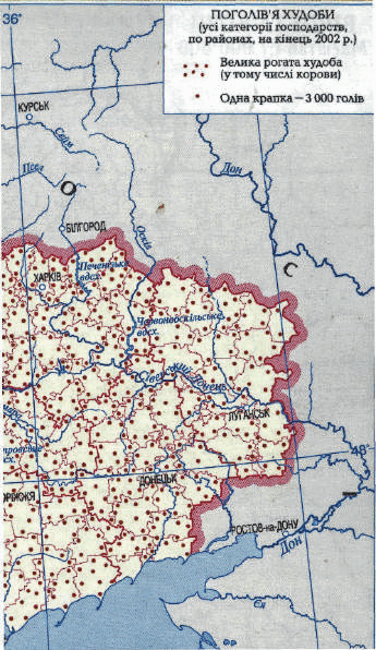 09002f0q-dd63-345x596.png