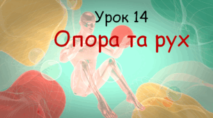 Презентація до уроку "Опора та рух". Біологія, 8 клас НУШ за підр. Соболь В.І..