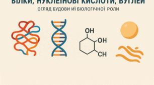 Білки, нуклеїнові кислоти, вуглеводи, ліпіди