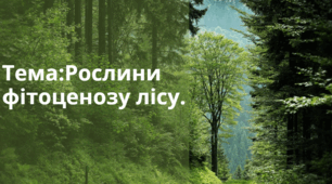 Рослини фітоценозу лісу