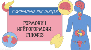 Презентація. Гуморальна регуляція. Гормони і нейрогормони. Гіпофіз.