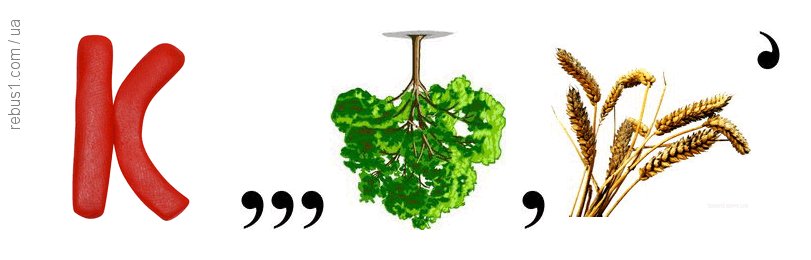 09002j5q-d224-811x260.png