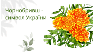 "Чорнобривці - символ України" с.49, Г.Сапун 2 клас