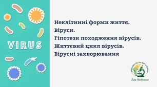 Неклітинні форми життя. Віруси.  Гіпотези походження вірусів. Життєвий цикл вірусів. Вірусні захворювання