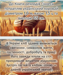 09002nar-2c4b-223x264.png