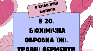 Презентація  до уроку  «§ 20. Біохімічна обробка їжі. Травні ферменти»   8 клас НУШ