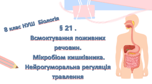 Презентація  до уроку  «§ 21. Всмоктування поживних речовин.Мікробіом кишківника. Нейрогуморальна регуляція травлення» 8 клас НУШ