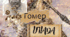 Шаблон на тему: "Гомер "ІЛІАДА"