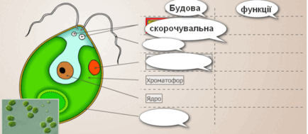 09002pr0-bf80-434x189.png