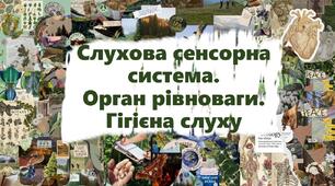 Слухова сенсорна система. Орган рівноваги. Гігієна слуху
