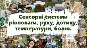 Сенсорні системи рівноваги, руху, дотику, температури, болю.