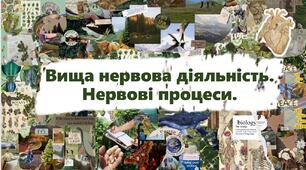Вища нервова діяльність. Нервові процеси.