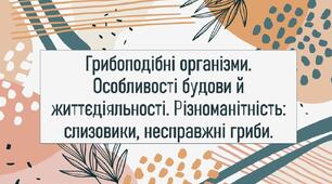 Грибоподібні організми. Особливості будови й життєдіяльності. Різноманітність: слизовики, несправжні гриби.