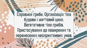 Справжні гриби. Організація тіла будови і життєвий цикл. Вегетативне тіло грибів. Пристосування до поширення та перенесення несприятливих умов.