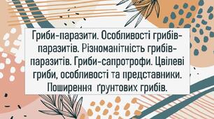 Гриби-паразити. Особливості грибів-паразитів. Різноманітність грибів-паразитів. Гриби-сапротрофи. Цвілеві гриби, особливості та представники. Поширення  ґрунтових грибів.