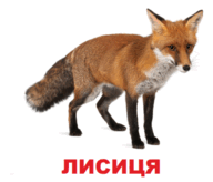 09002r1o-b28c-124x106.png