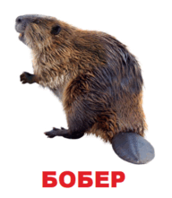 09002r2v-9326-127x146.png