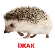 09002r39-0b3f-119x106.png