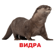 09002r3i-7968-119x107.png