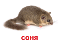 09002r3y-0515-118x86.png