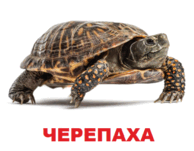 09002r76-3e77-194x151.png
