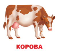 09002r8f-b2ec-199x181.png