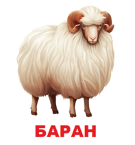 09002r8j-f5a4-197x212.png