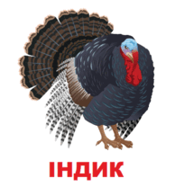 09002r8n-43a4-194x208.png