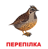 09002r8v-2314-197x198.png