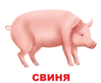 09002r8x-2072-199x165.png