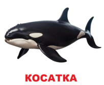09002r9x-f773-204x168.png