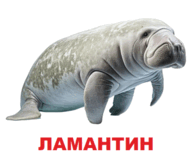 09002ra1-f3d0-194x157.png
