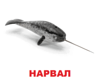 09002raz-402a-201x166.png