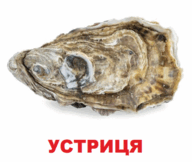 09002rb6-98ba-192x162.png