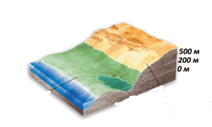 09002rlt-c4e8-732x440.png