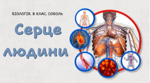 8 клас НУШ. Серце людини