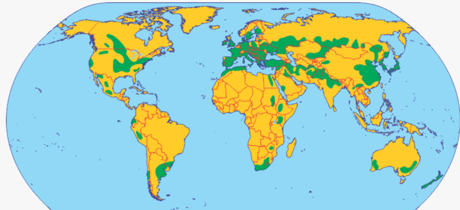 09002xdv-f8a8-940x430.png