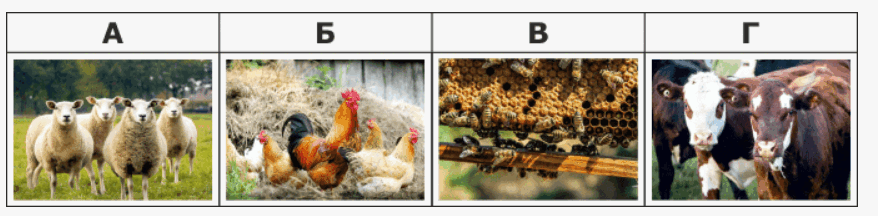 09002xfk-57e6-878x216.png