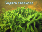 09002ydk-e231-145x109.png