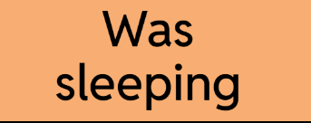 09002zed-714f-343x136.png