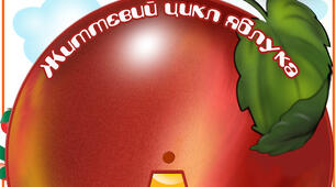 Круг Луллія "Життєвий цикл яблука"