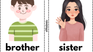 Flashcards Module 3 "Family and friends" Smart Junior 1