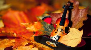 Яку музику можна послухати 2025  Осінь 🎶🎵🍁