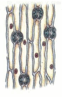 090033hl-4024-90x140.png