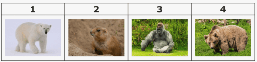 090033zy-8c65-863x209.png