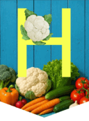 090037dg-93f7-128x175.png
