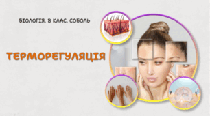 Терморегуляція. 8 клас НУШ