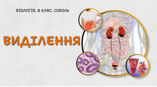 8 клас НУШ. Виділення