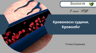 Кровоносні судини. Кровообіг. 8 клас. НУШ